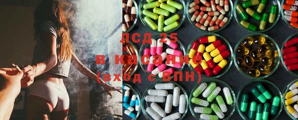 твердый Михайлов