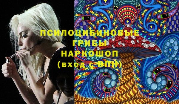 мяу мяу мука Бежецк