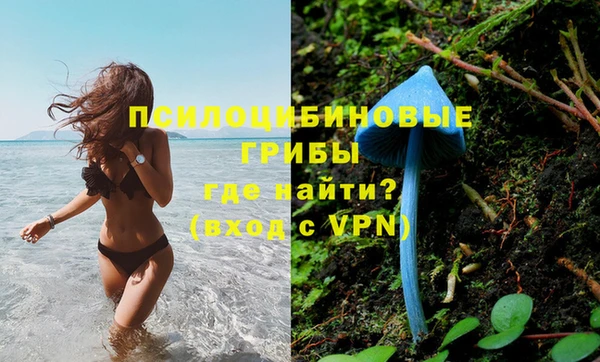 трава Михайловск