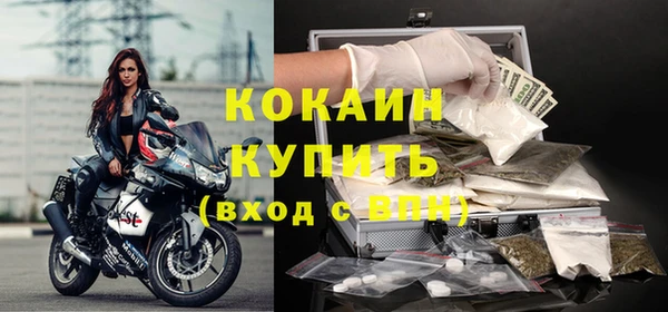 сатива Белая Холуница