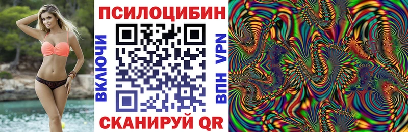 сколько стоит  ссылка на мегу ССЫЛКА  Псилоцибиновые грибы Magic Shrooms  Жуков 